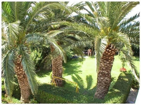 Villa Pitomcia (Adults Only) Podstrana Exterior photo